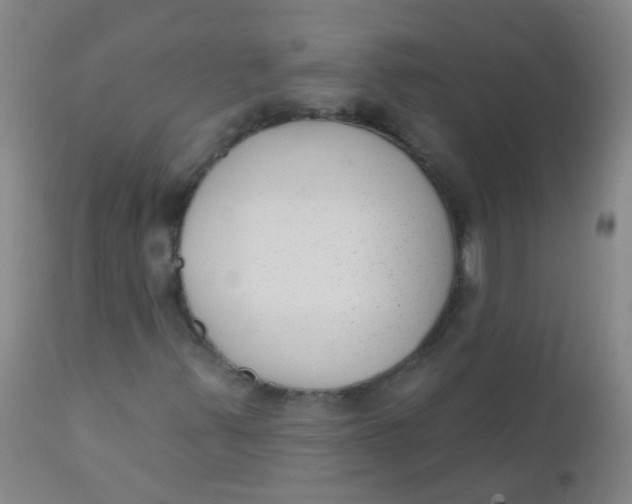 X0000110721347200907022036