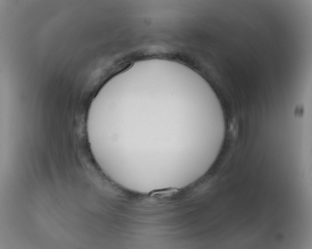 X0000110721348200907022036