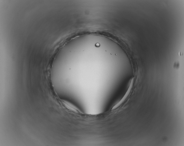 X0000110721349200907022036