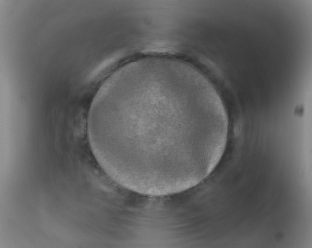 X0000110721350200907022036