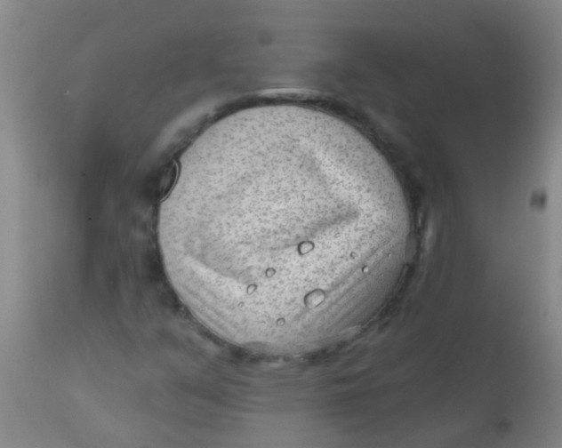 X0000110721351200907022036