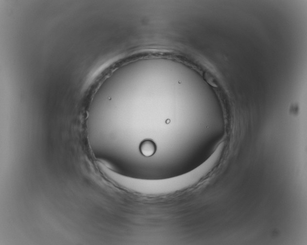 X0000110721352200907022036