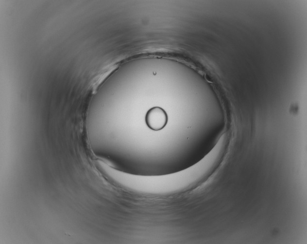 X0000110721353200907022036