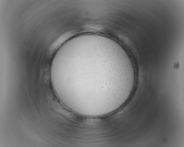 X0000110721354200907022036