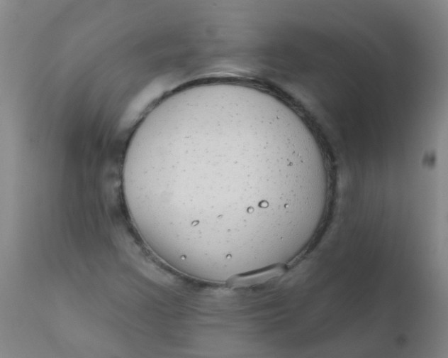 X0000110721355200907022036