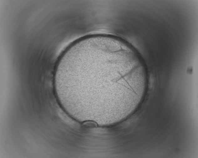 X0000110721356200907022036