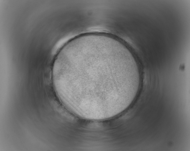 X0000110721358200907022036