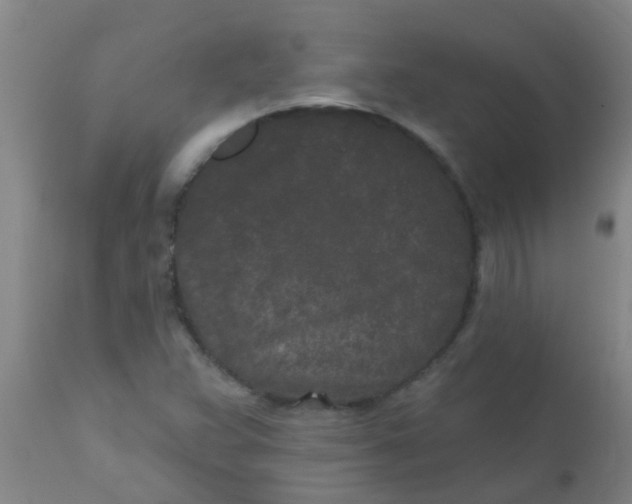 X0000110721359200907022036