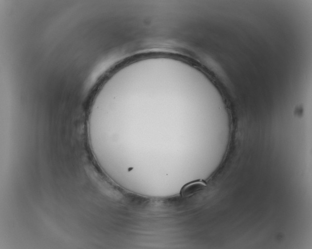 X0000110721360200907022036