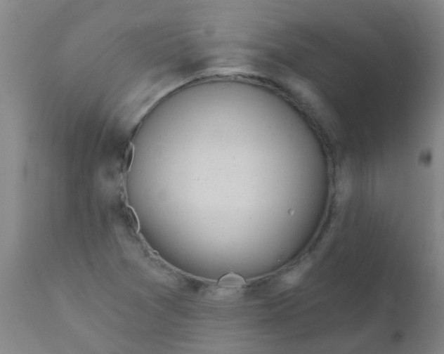 X0000110721361200907022036