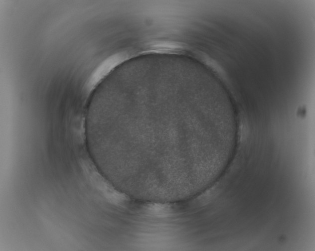 X0000110721362200907022036