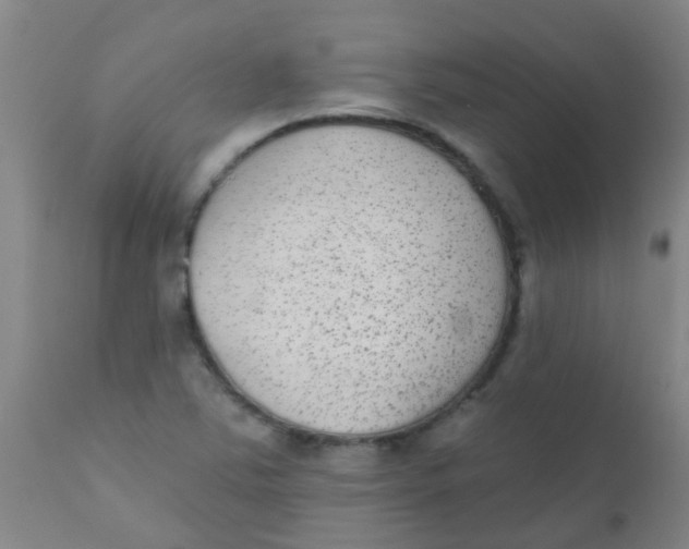 X0000110721363200907022036