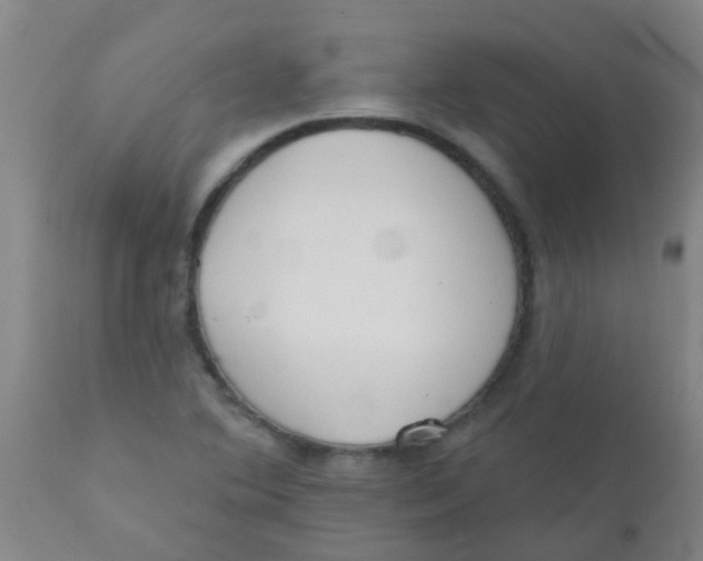 X0000110721364200907022036