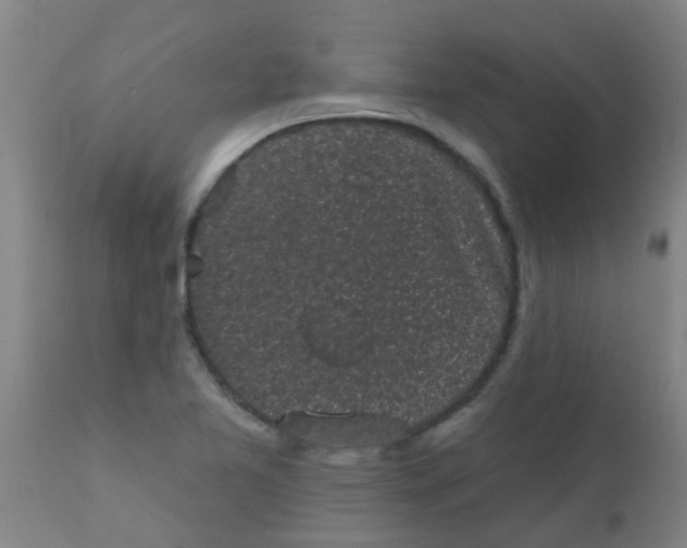 X0000110721365200907022036