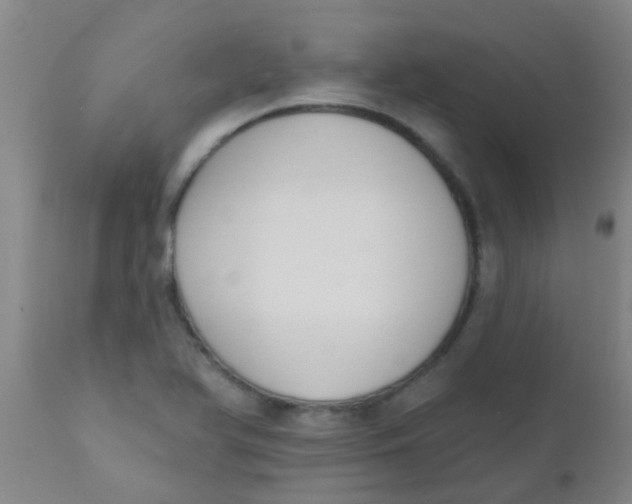 X0000110721366200907022036