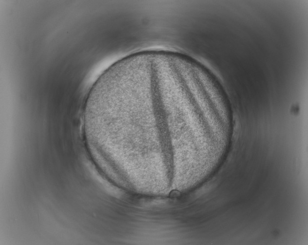 X0000110721367200907022036