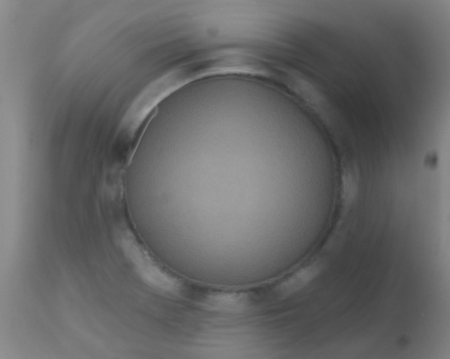 X0000110721369200907022036