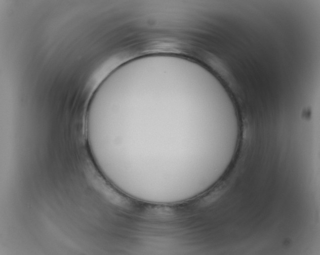 X0000110721370200907022036