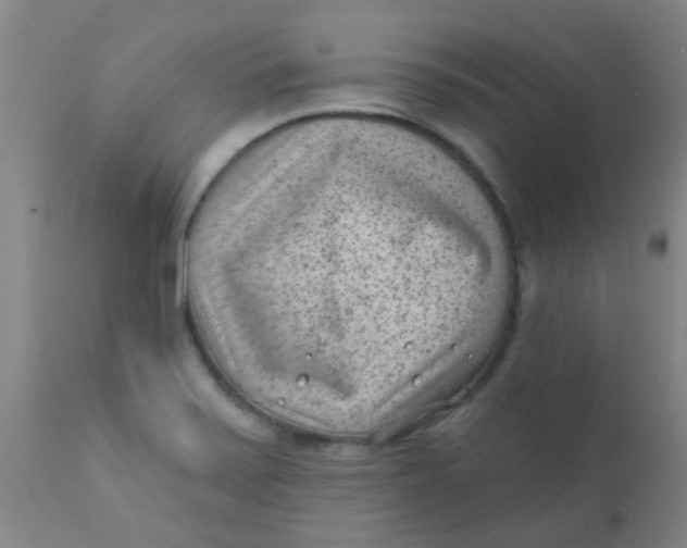 X0000110721371200907022036