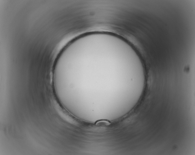 X0000110721372200907022036