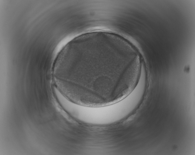 X0000110721373200907022036