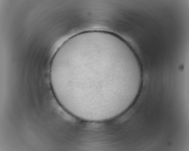 X0000110721374200907022036