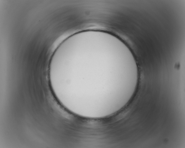 X0000110721375200907022036