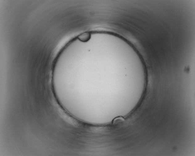 X0000110721376200907022036