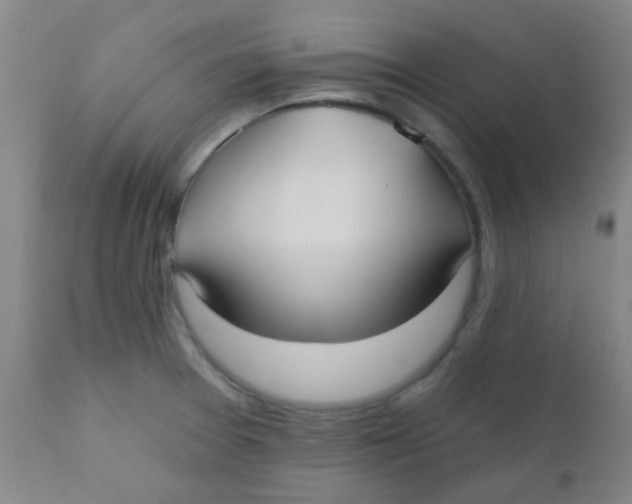 X0000110721377200907022036