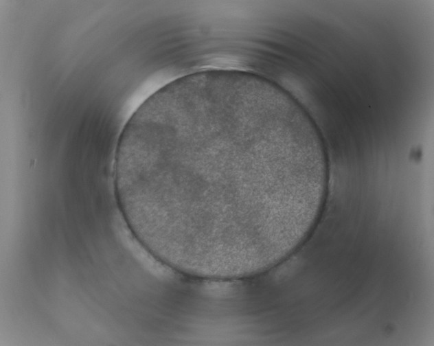 X0000110721378200907022036