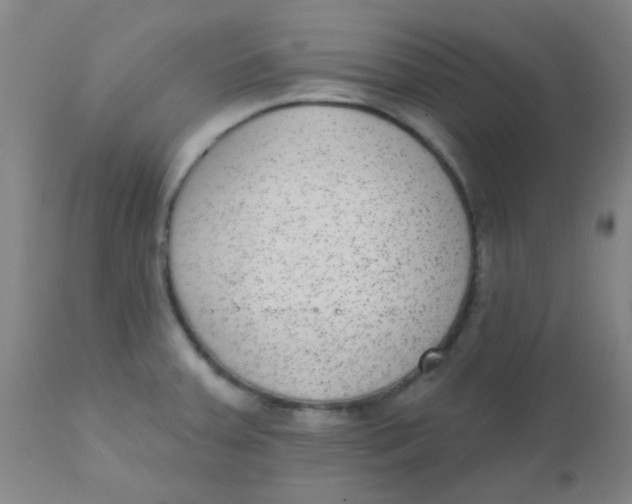 X0000110721379200907022036