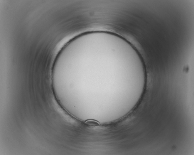 X0000110721380200907022036