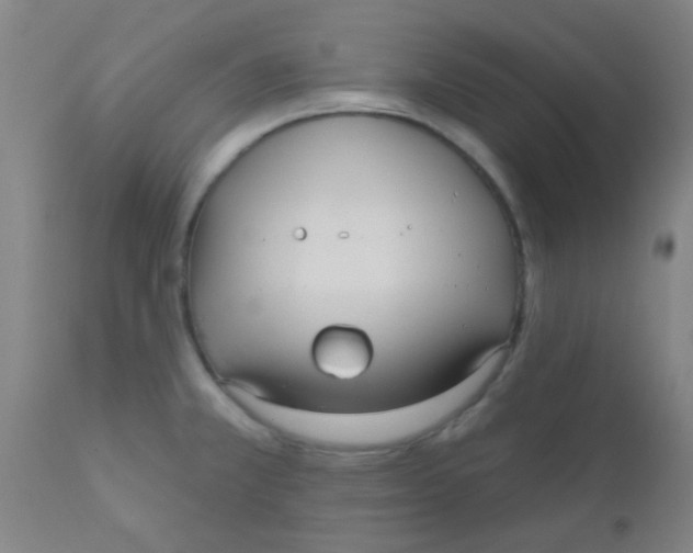 X0000110721381200907022036