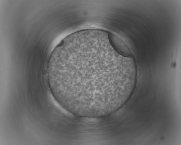 X0000110721382200907022036