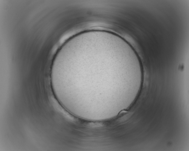 X0000110721384200907022036