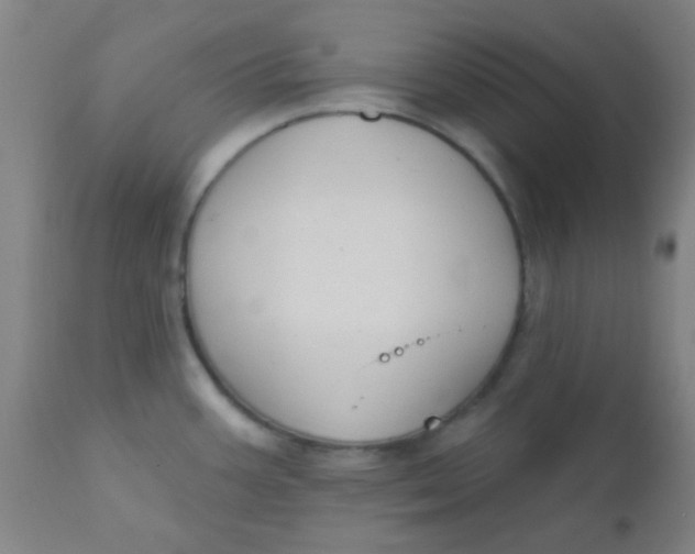 X0000110721387200907022036