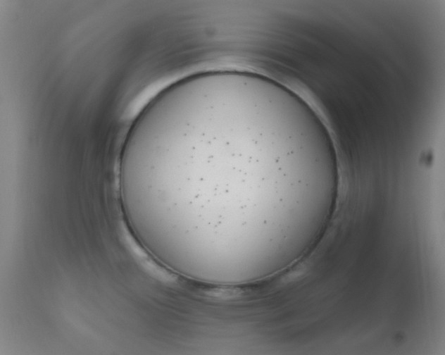 X0000110721388200907022036