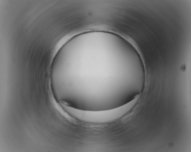 X0000110721389200907022036