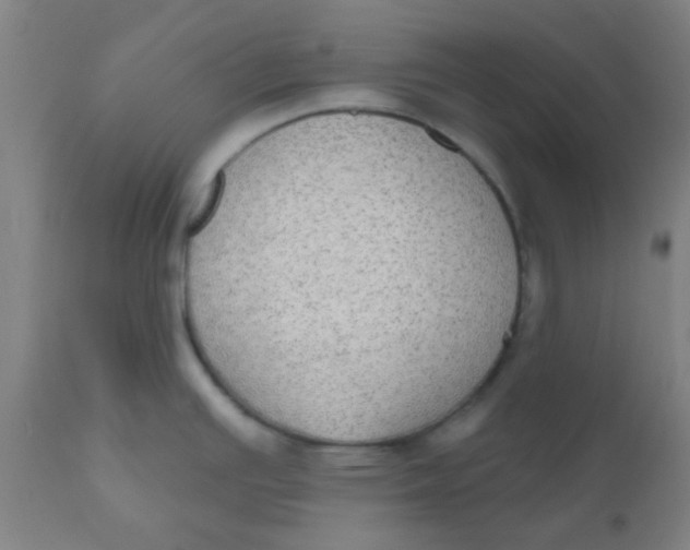 X0000110721391200907022036