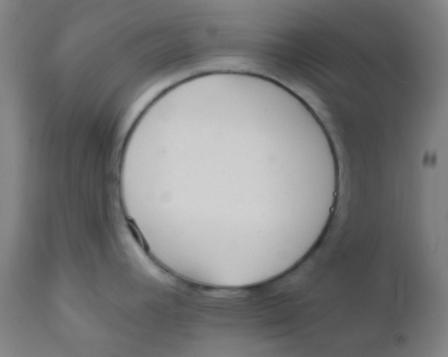 X0000110721392200907022036