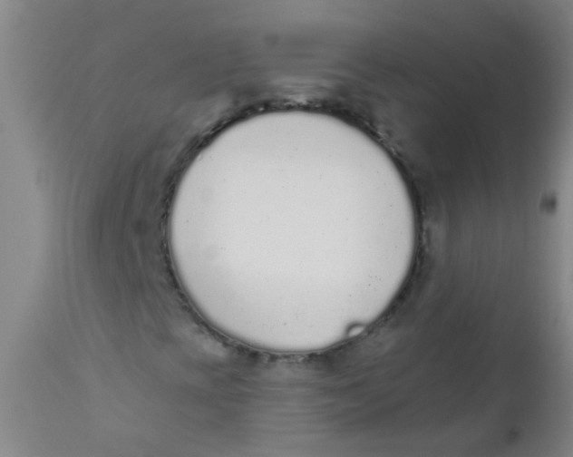 X0000110721393200907022035