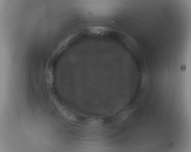 X0000110721394200907022035