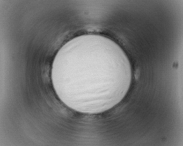 X0000110721396200907022035