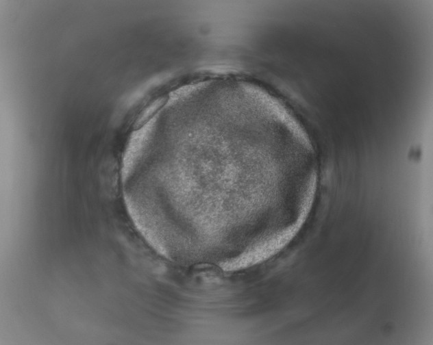 X0000110721398200907022035