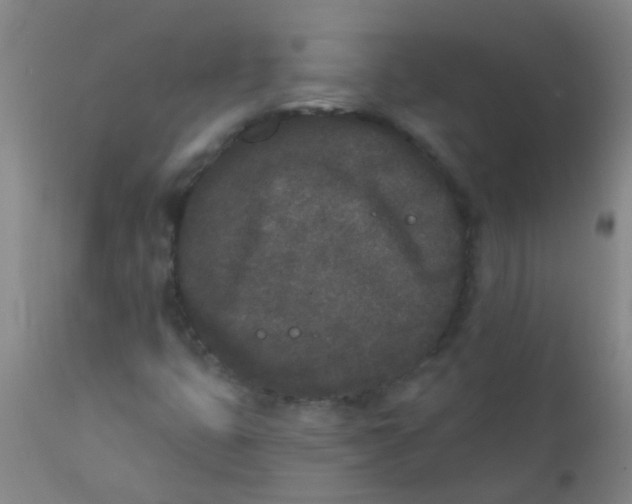 X0000110721399200907022035