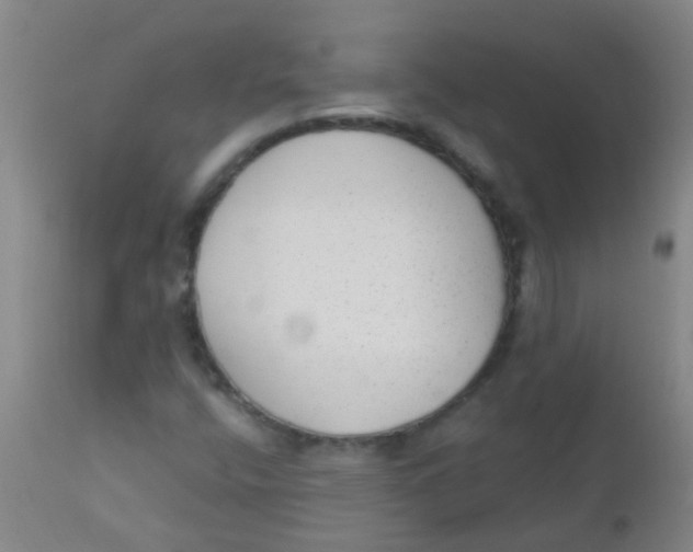 X0000110721400200907022035