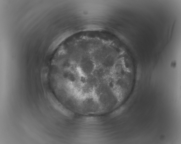 X0000110721401200907022035