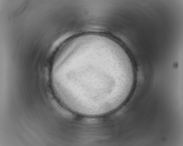 X0000110721402200907022035