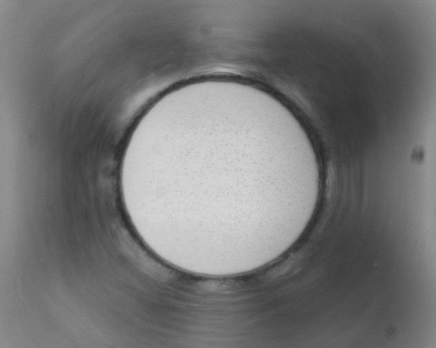 X0000110721404200907022035