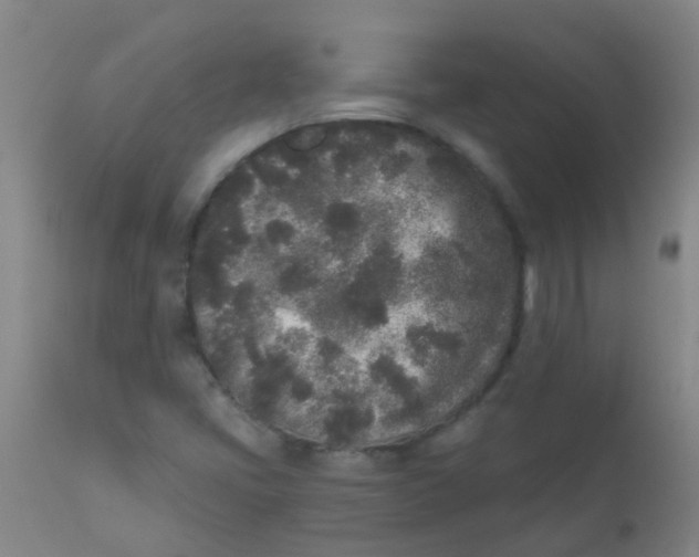 X0000110721405200907022035